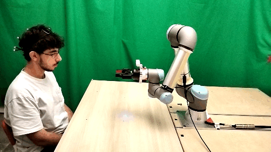 Live experiment footage showing the illumination setup.